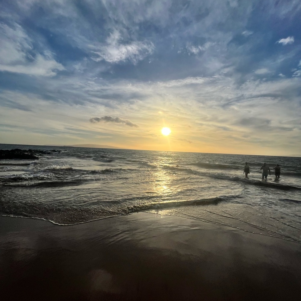 Meet your Posher, Adeline